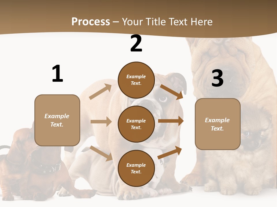 Shar Pei Mammal Background PowerPoint Template