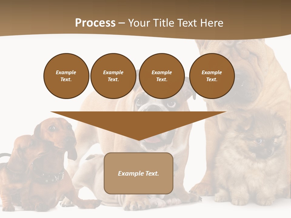 Shar Pei Mammal Background PowerPoint Template