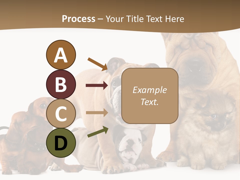 Shar Pei Mammal Background PowerPoint Template