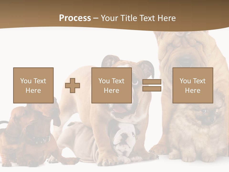 Shar Pei Mammal Background PowerPoint Template
