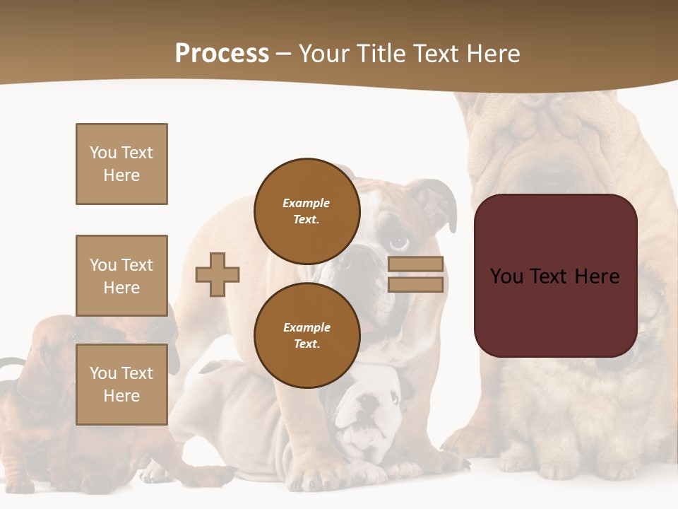 Shar Pei Mammal Background PowerPoint Template
