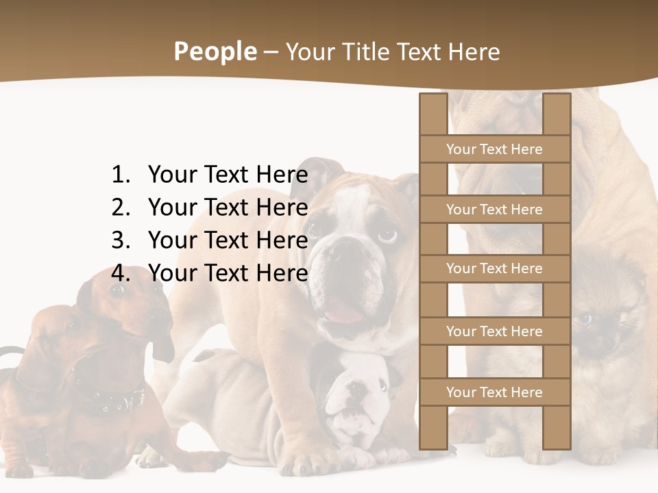Shar Pei Mammal Background PowerPoint Template