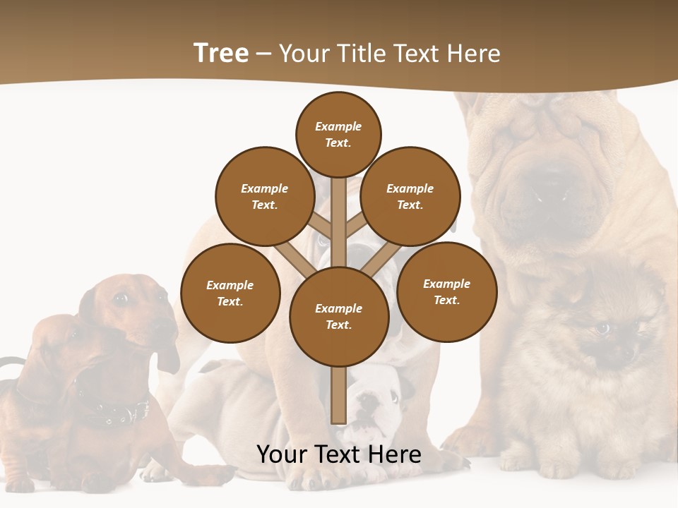 Shar Pei Mammal Background PowerPoint Template