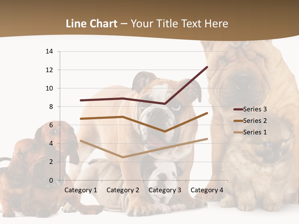 Shar Pei Mammal Background PowerPoint Template