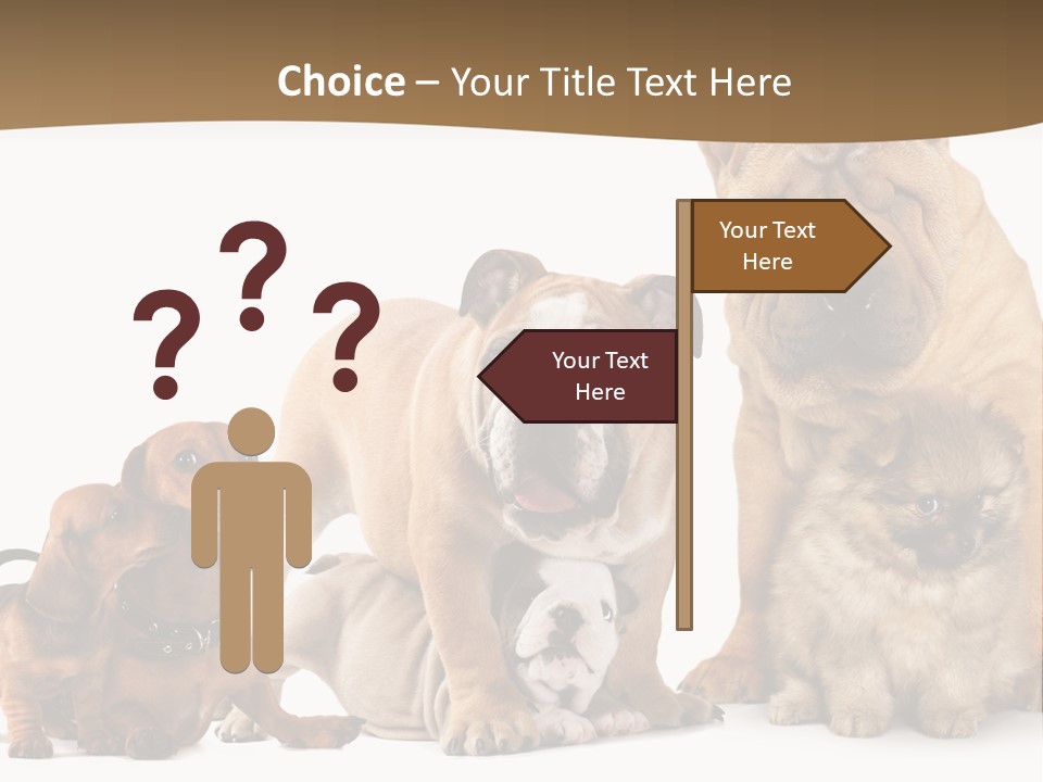 Shar Pei Mammal Background PowerPoint Template