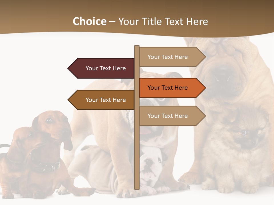 Shar Pei Mammal Background PowerPoint Template