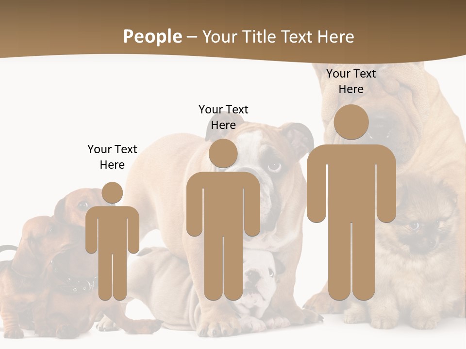 Shar Pei Mammal Background PowerPoint Template