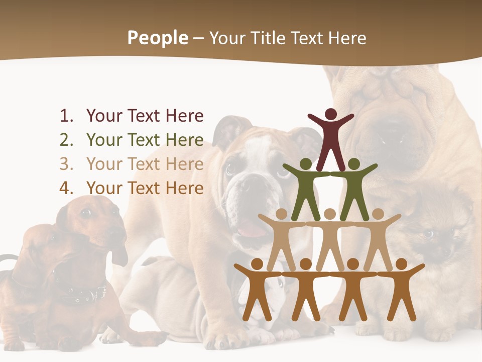 Shar Pei Mammal Background PowerPoint Template