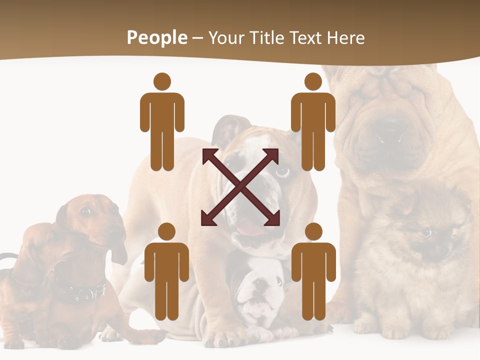 Shar Pei Mammal Background PowerPoint Template