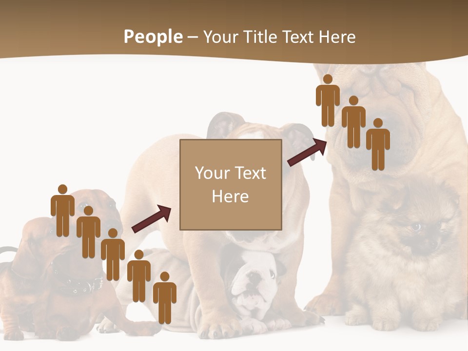 Shar Pei Mammal Background PowerPoint Template