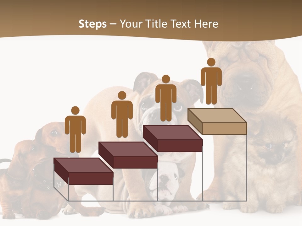 Shar Pei Mammal Background PowerPoint Template