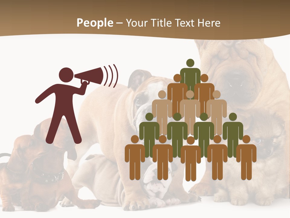 Shar Pei Mammal Background PowerPoint Template