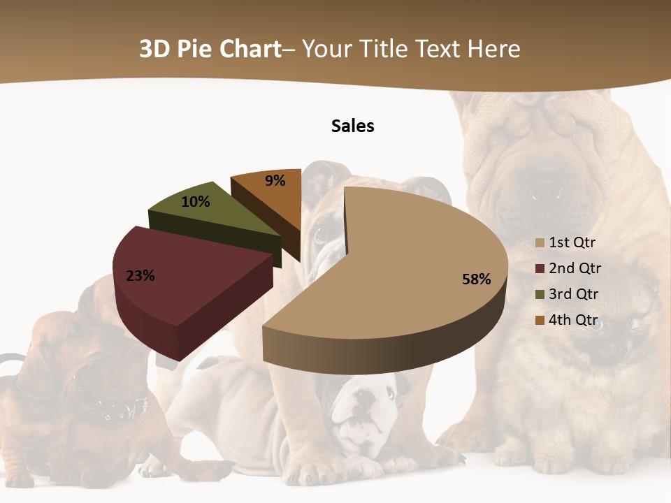 Shar Pei Mammal Background PowerPoint Template