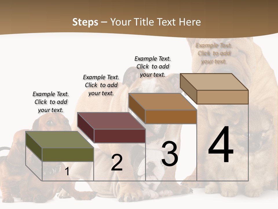 Shar Pei Mammal Background PowerPoint Template