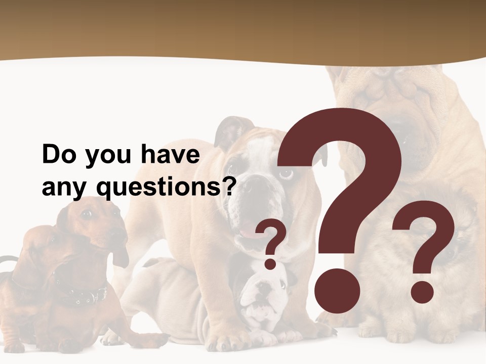 Shar Pei Mammal Background PowerPoint Template