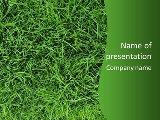 Turf Environment Green PowerPoint Template