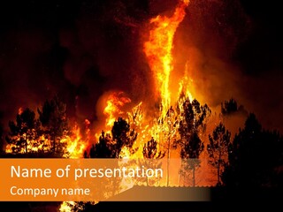 Smoke Forest Natural PowerPoint Template