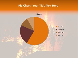 Smoke Forest Natural PowerPoint Template