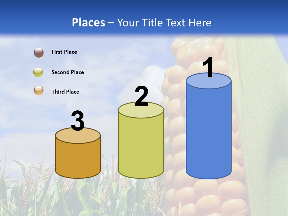 Food Grain Ear PowerPoint Template