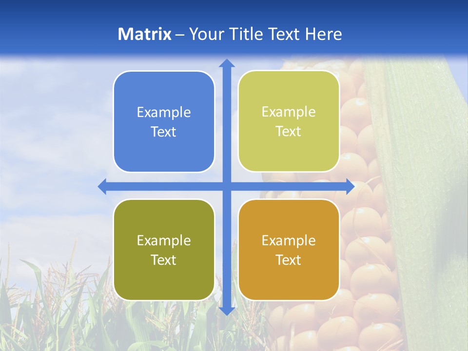 Food Grain Ear PowerPoint Template