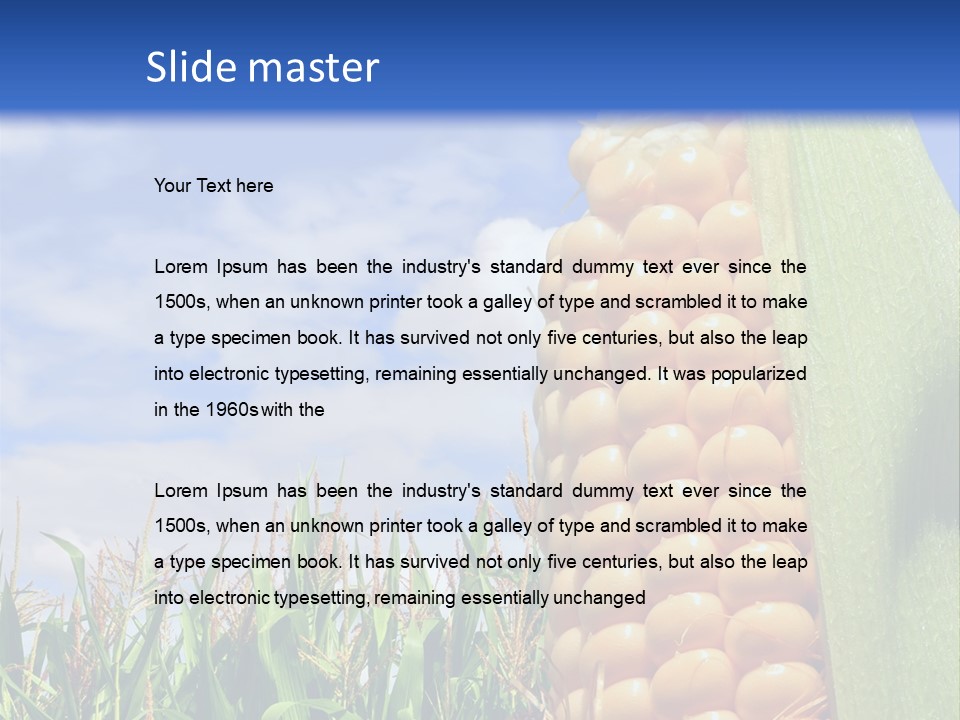 Food Grain Ear PowerPoint Template