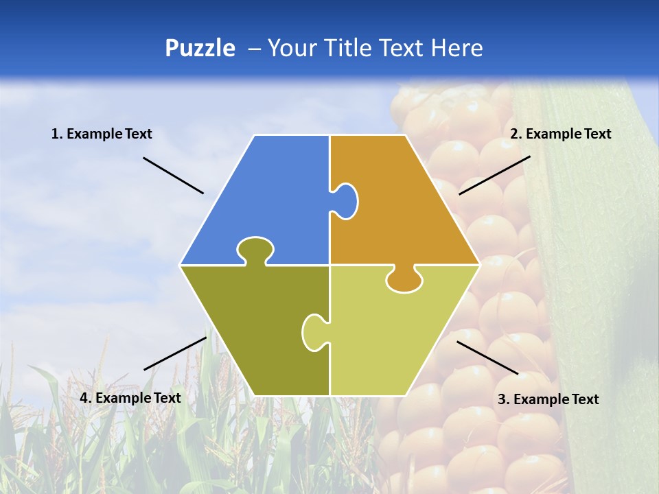 Food Grain Ear PowerPoint Template