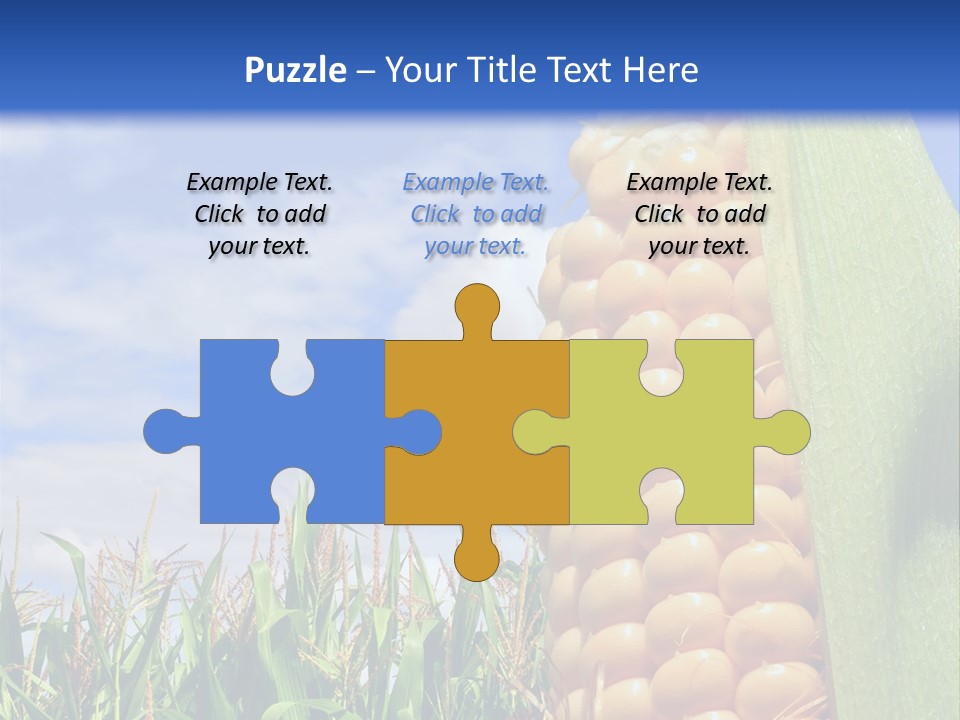 Food Grain Ear PowerPoint Template