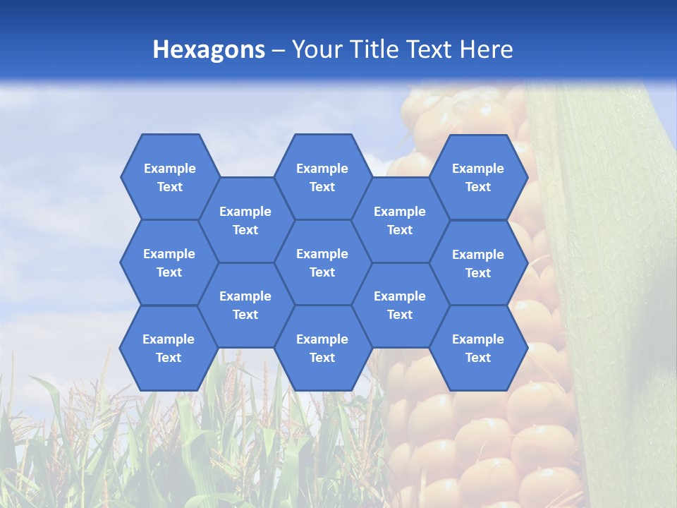 Food Grain Ear PowerPoint Template