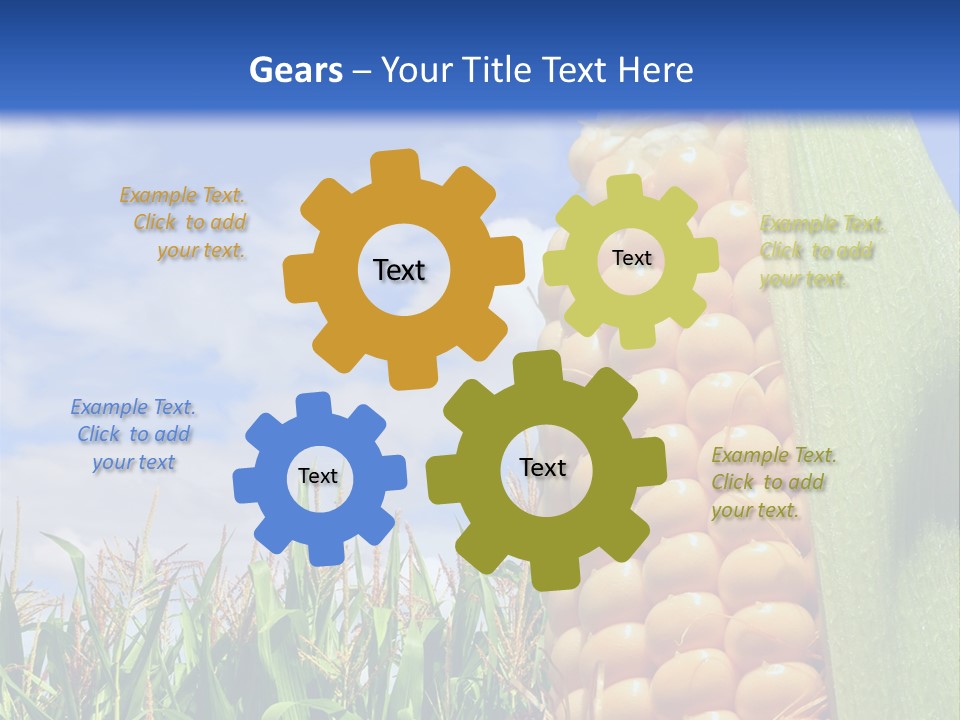 Food Grain Ear PowerPoint Template