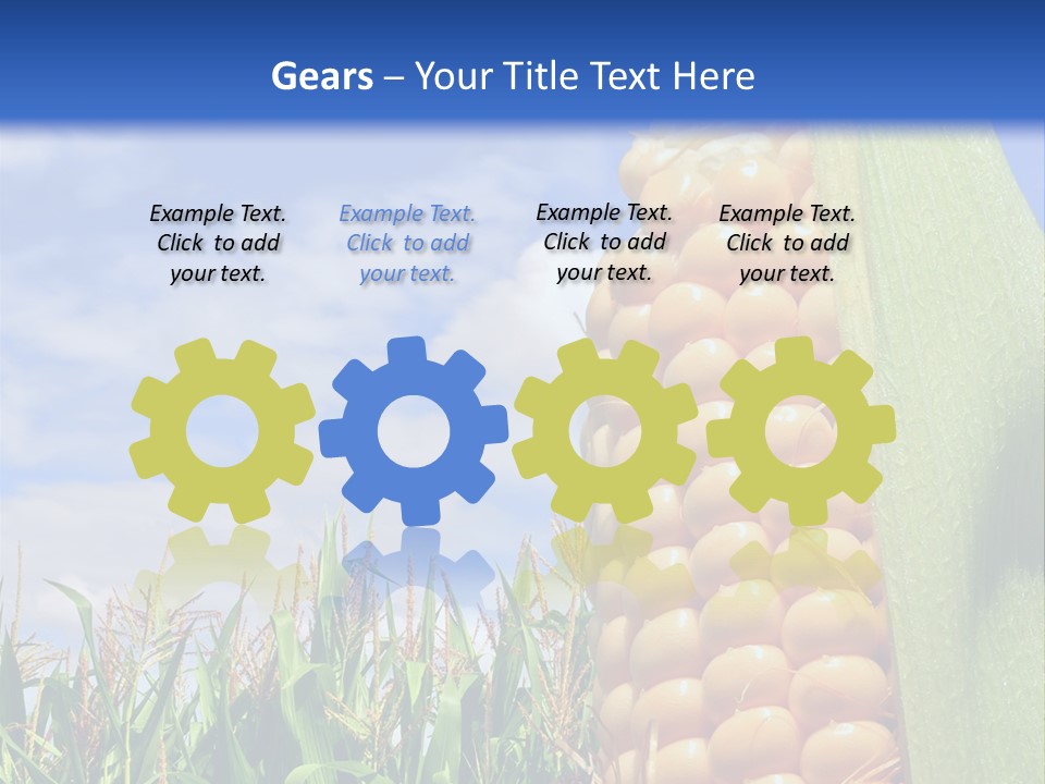 Food Grain Ear PowerPoint Template
