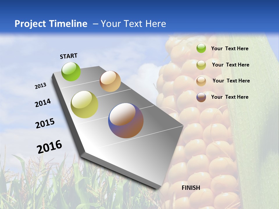 Food Grain Ear PowerPoint Template