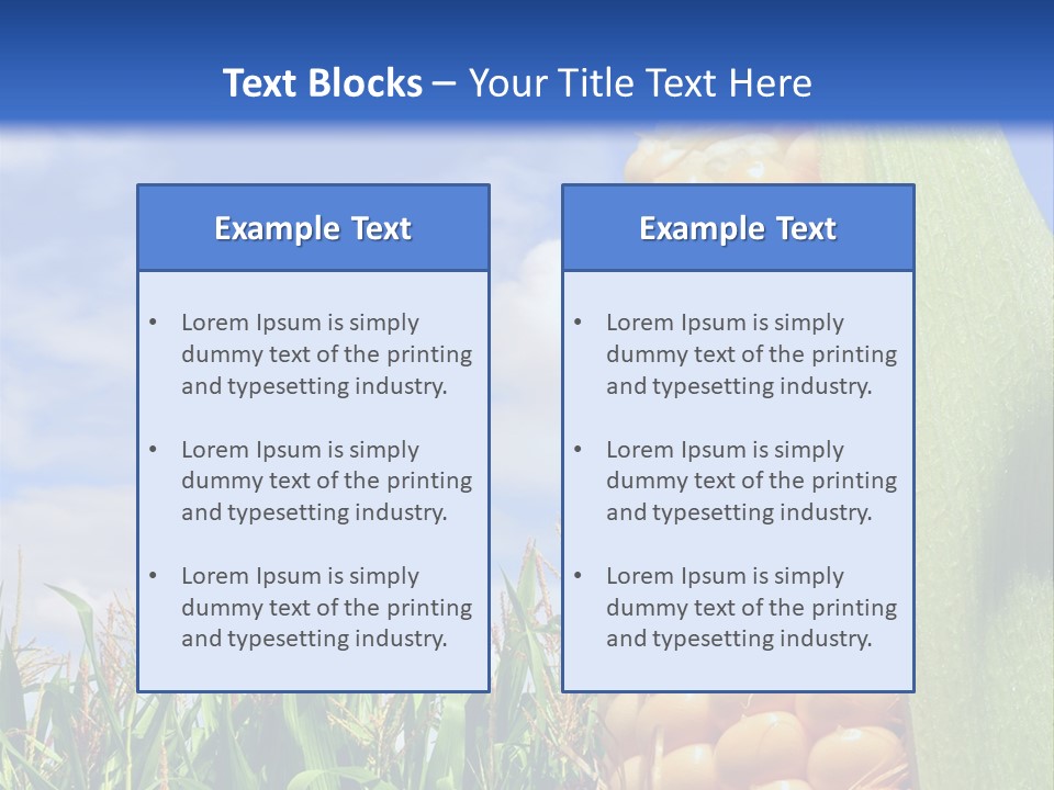 Food Grain Ear PowerPoint Template