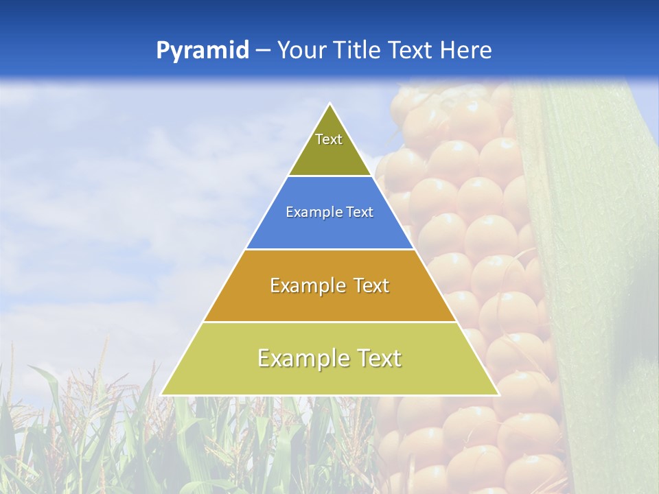 Food Grain Ear PowerPoint Template