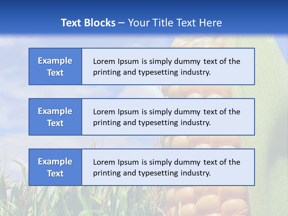 Food Grain Ear PowerPoint Template