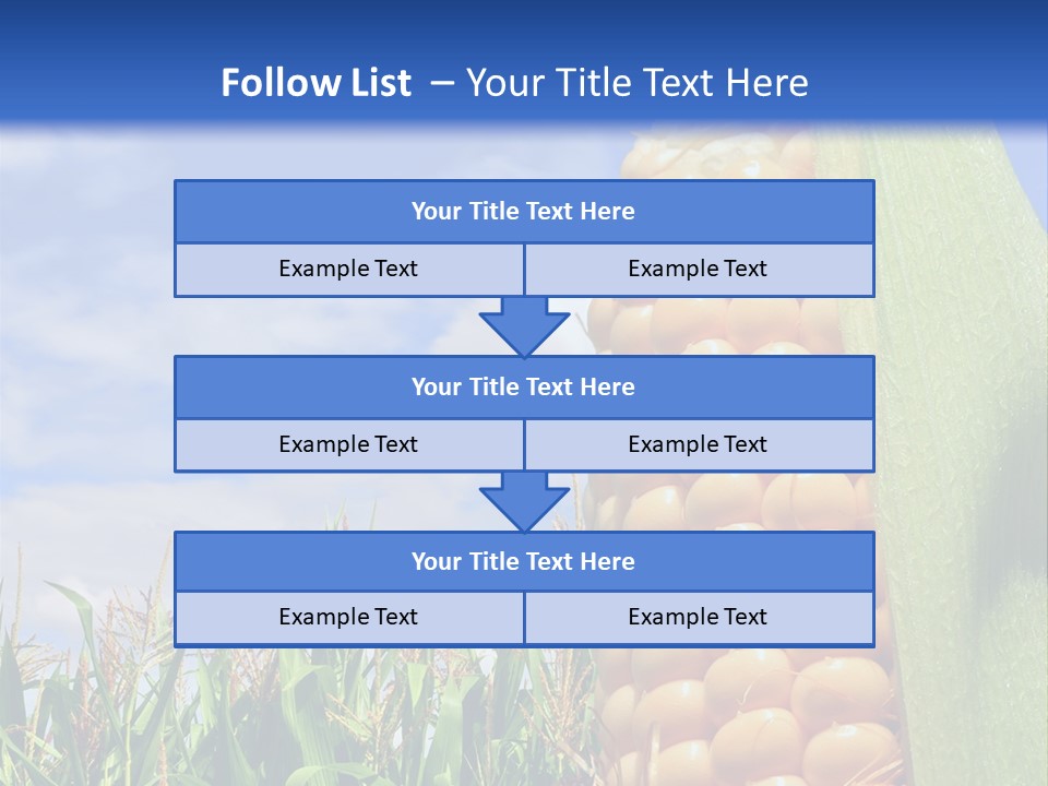 Food Grain Ear PowerPoint Template