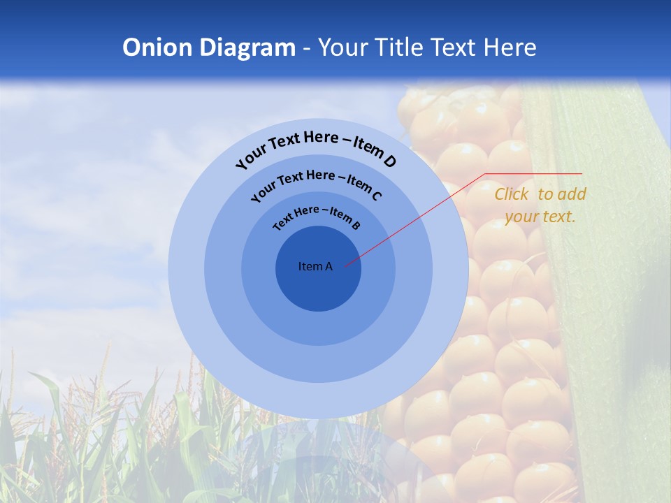 Food Grain Ear PowerPoint Template