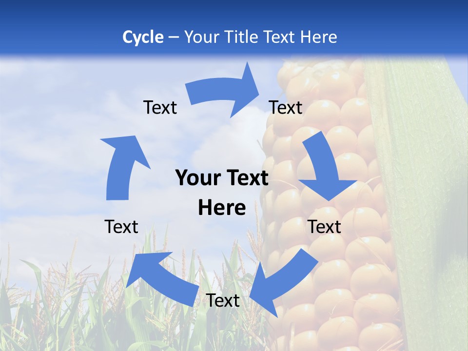 Food Grain Ear PowerPoint Template