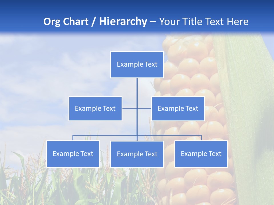 Food Grain Ear PowerPoint Template