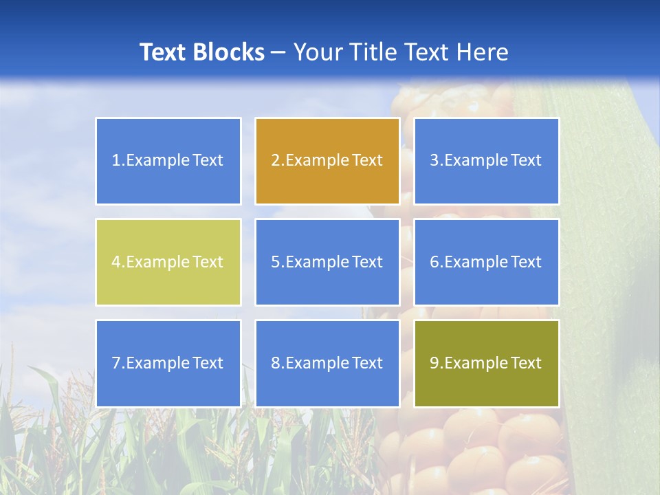 Food Grain Ear PowerPoint Template