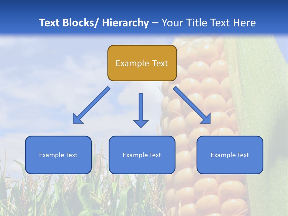 Food Grain Ear PowerPoint Template