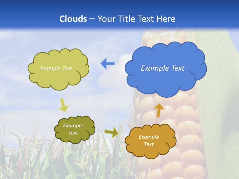 Food Grain Ear PowerPoint Template