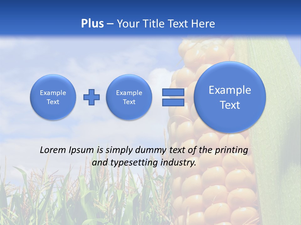 Food Grain Ear PowerPoint Template