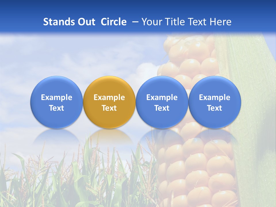 Food Grain Ear PowerPoint Template