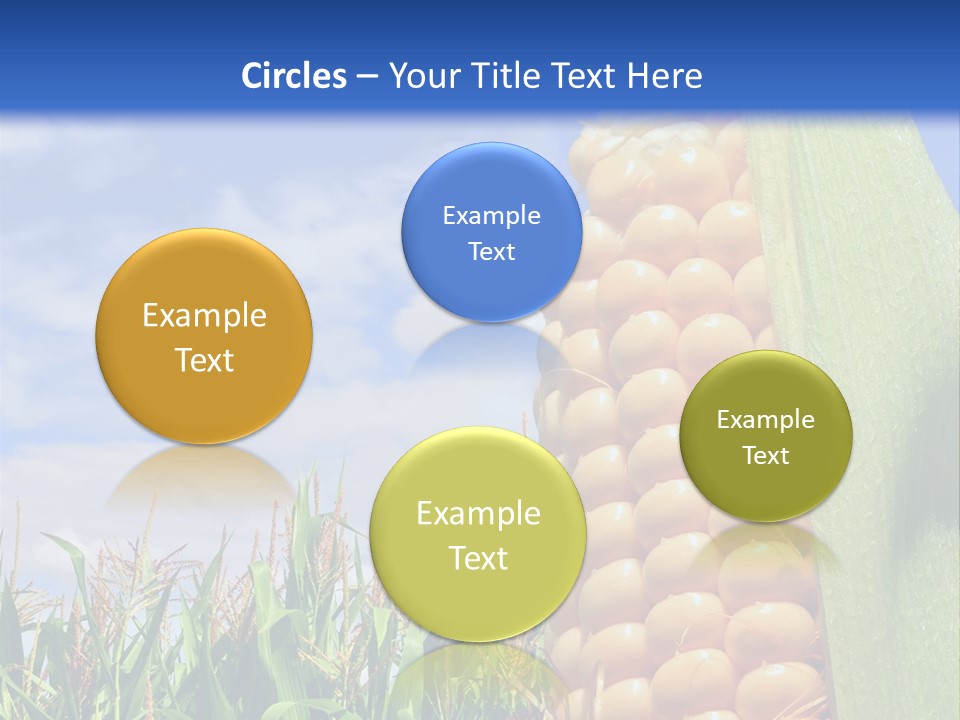 Food Grain Ear PowerPoint Template