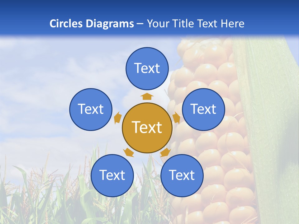 Food Grain Ear PowerPoint Template