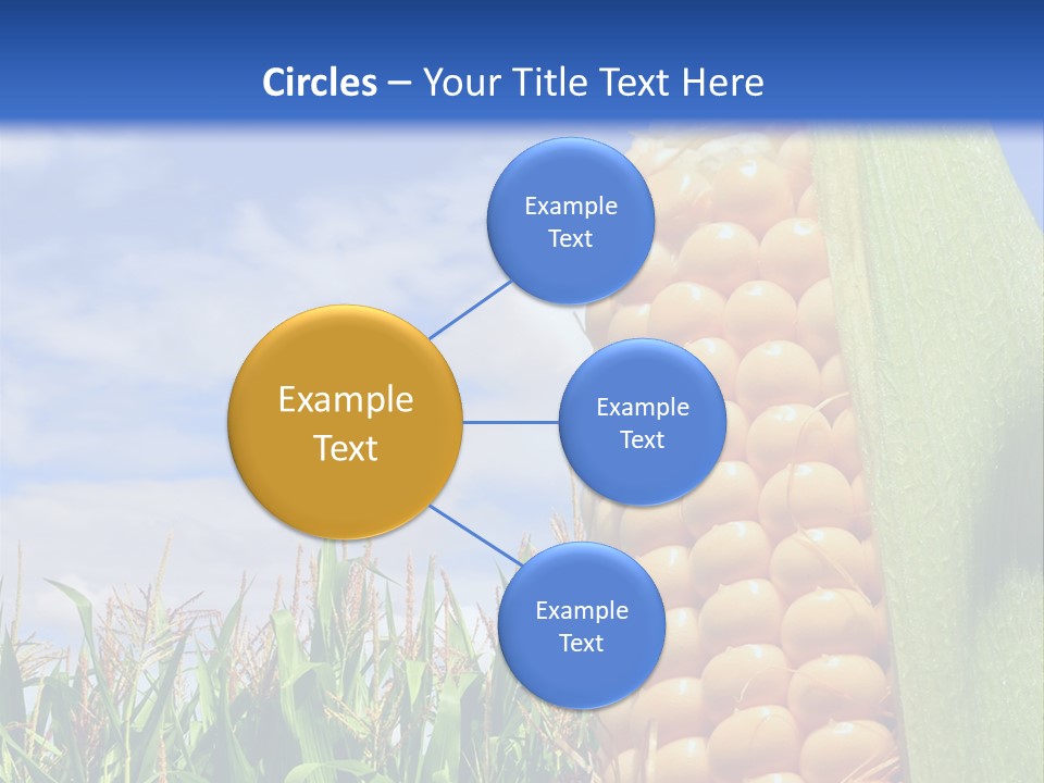 Food Grain Ear PowerPoint Template