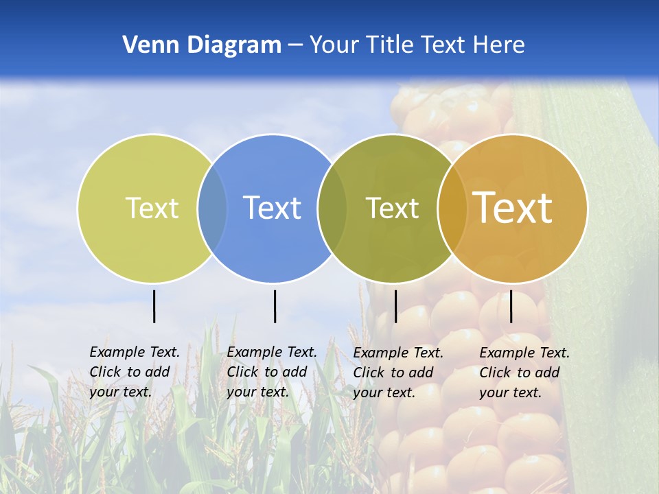 Food Grain Ear PowerPoint Template