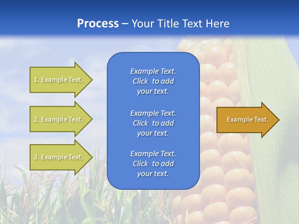 Food Grain Ear PowerPoint Template