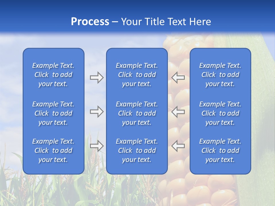 Food Grain Ear PowerPoint Template