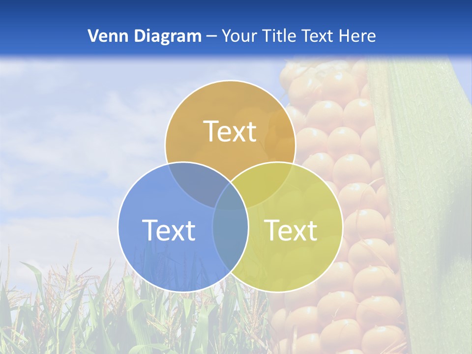 Food Grain Ear PowerPoint Template